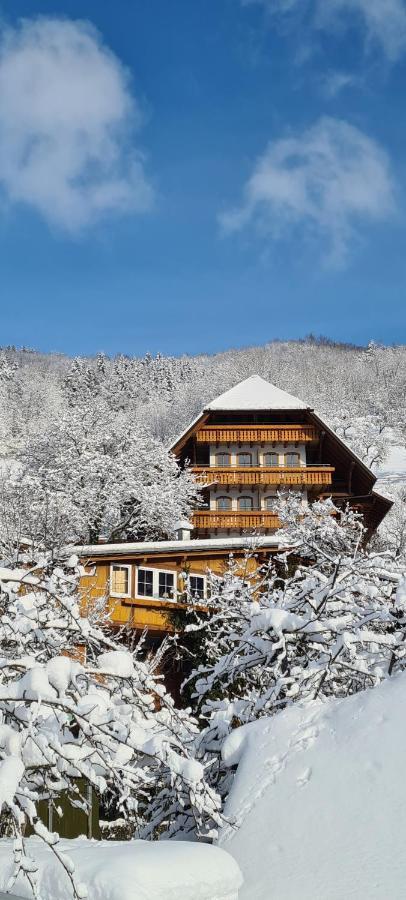 Ehrenmattlehof Faisst Aparthotel Bad Peterstal-Griesbach Exterior photo